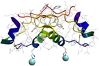 Autoimmune Disease Biomarkers